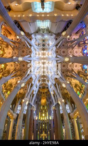 Barcelona, Spanien. Innenraum der Sagrada Familia, Kathedrale von Gaudi entworfen Stockfoto
