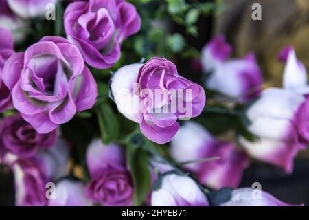 Blumensträuße von abwechslungsreichen Blumen Feier und Veranstaltung, Natur Stockfoto