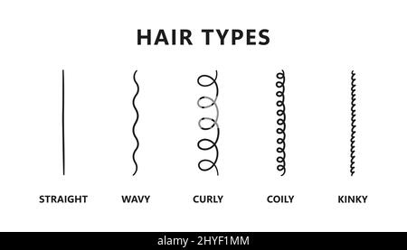 Klassifizierung der Haartypen - gerade, wellig, lockig, coily, kinky. Schema der verschiedenen Arten von Haaren. Lockiges Mädchen Methode. Vektorgrafik auf Weiß Stock Vektor