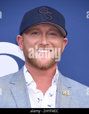 Cole Swindell bei den Academy of Country Music Awards 53., die am 15. April 2018 in Las Vegas in der MGM Grand Garden Arena verliehen wurden Stockfoto