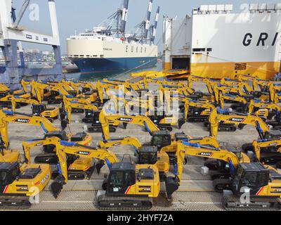 YANTAI, CHINA - 15. MÄRZ 2022 - Eine große Anzahl von Nutzfahrzeugen wartet auf die Beladung im Hafen von Yantai, der ostchinesischen Provinz Shandong, März Stockfoto