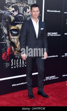 Jeffrey Donovan beim „Sicario: Day of the Soldado“ in Los Angeles Premiere im Regency Village Theatre am 26. Juni 2018 in Westwood, ca. Stockfoto