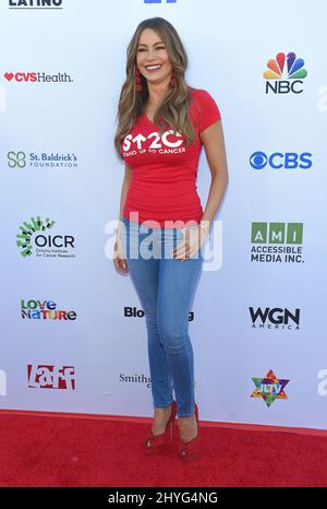 Sofia Vergara bei der 2018 Stand Up to Cancer (SU2C) Sendung, die am 7. September 2018 im Barker Hangar am Flughafen Santa Monica stattfand Stockfoto