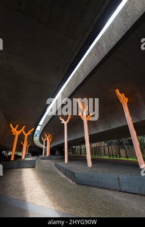 Aspire by Warren Langley, glühende goldene Bäume scheinen zu wachsen und unterstützen das enorme Gewicht der Autobahnstruktur in Ultimo, Sydney Stockfoto