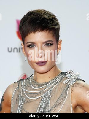 Halsey bei den jährlichen Latin Grammy Awards 19. in der MGM Grand Garden Arena Stockfoto