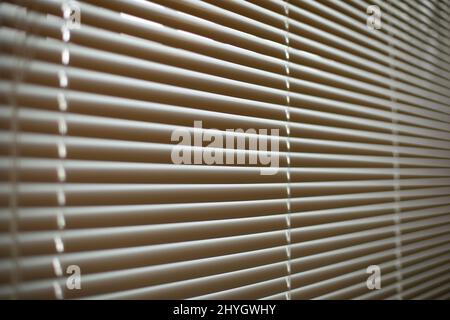 Jalousien am Fenster. Weiße Jalousien bedecken das Fenster vor der Sonne. Details zur Innenausstattung. Diagonal aufnehmen. Stockfoto