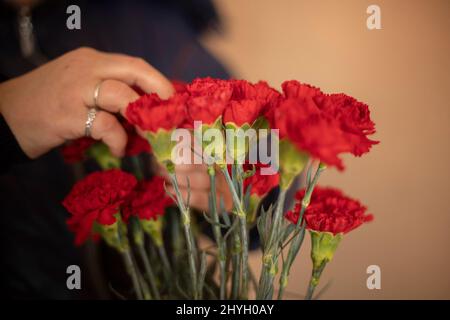 Blumenstrauß. Rote Blumen. Bereitet Blumen zu. Öffnen von Blütenblättern. Stockfoto