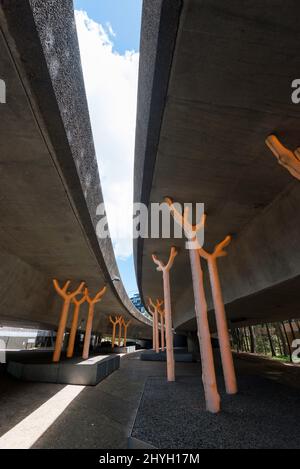 Aspire by Warren Langley, glühende goldene Bäume scheinen zu wachsen und unterstützen das enorme Gewicht der Autobahnstruktur in Ultimo, Sydney Stockfoto