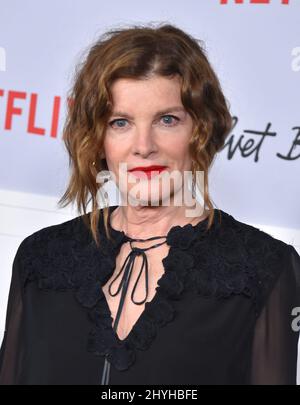 Rene Russo bei der Netflix-Premiere von „Velvet Buzzsaw“ im Egyptian Theatre Stockfoto