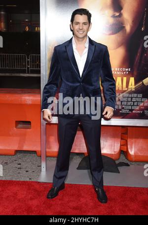 Ricardo Abarca bei der „Miss Bala“-Weltpremiere im Regal Cinemas L.A. LIVE am 30. Januar 2019 in Los Angeles, USA. Stockfoto