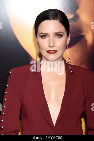 Sophia Bush bei der „Miss Bala“-Weltpremiere im Regal Cinemas L.A. LIVE am 30. Januar 2019 in Los Angeles, USA. Stockfoto