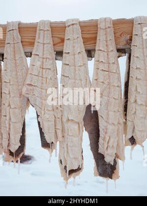 Fischercamp auf dem Meereis eines Fjords. Fischerei im Winter in der Nähe von Uummannaq im nördlichen Westgreenland jenseits des arktischen Kreises. Nordamerika, Greenl Stockfoto