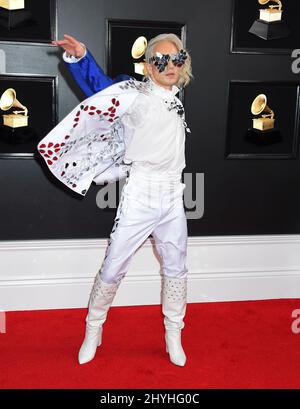 Ricky Rebel bei den jährlichen Grammy Awards 61., die am 10. Februar 2019 im Staples Center in Los Angeles, CA, verliehen wurden. Stockfoto