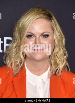 Amy Poehler bei NBC's Parks and Recreation 10. Anniversary Reunion während des PaleyFest Los Angeles 2019 im Dolby Theater Stockfoto