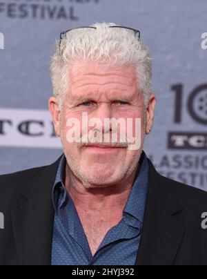 Ron Perlman nahm an der 30.-jährigen Vorführung von „When Harry Met Sally“ bei der Eröffnungsgala des TCM Classic Film Festivals 2019 im TCL Chinese Theatre IMAX Teil Stockfoto