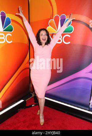 Fran Drescher nimmt an der NBC 2019 im Vorfeld Teil, die am 13. Mai 2019 im Four Seasons Hotel in New York stattfand. Stockfoto