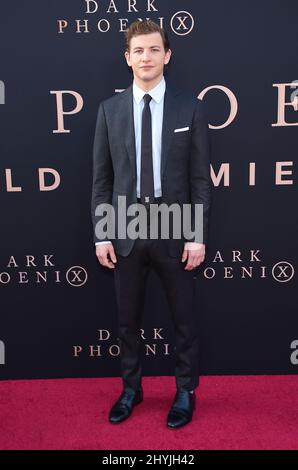 Tye Sheridan bei der Premiere von Dark Phoenix in Los Angeles Stockfoto