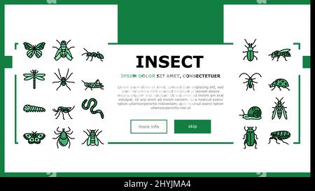 Insekten, Spinnen Und Bug Wildlife Landing Header-Vektor Stock Vektor