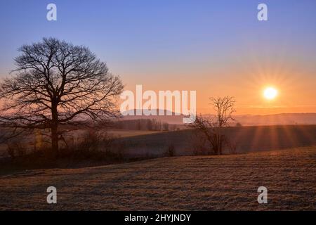 Sonnenaufgang mit Baum auf einem Feld und Berg im Hintergrund Stockfoto