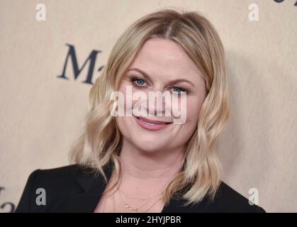 Amy Poehler bei der jährlichen Gala für Frauen im Film 2019 im Beverly Hilton Hotel am 12. Juni 2019 in Beverly Hills, CA. Stockfoto