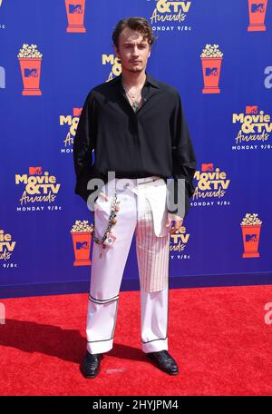 Brandon Thomas Lee bei der Ankunft bei den MTV Movie & TV Awards 2019 bei Barker Hanger am 15. Juni 2019 in Santa Monica Stockfoto