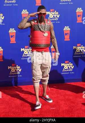 Nick Cannon bei den MTV Movie & TV Awards 2019 bei Barker Hanger am 15. Juni 2019 in Santa Monica Stockfoto