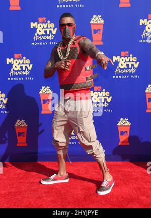 Nick Cannon bei den MTV Movie & TV Awards 2019 bei Barker Hanger am 15. Juni 2019 in Santa Monica Stockfoto