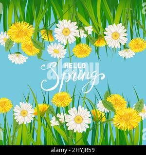 Hello Spring Lettering Schablone Hintergrund mit Blumen-Elendeln und Gänseblümchen, Kamillen, Gras. Vektorgrafik. Frisches Design für Poster Stock Vektor