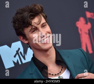 Shawn Mendes bei den MTV Video Music Awards 2019, die am 26. August 2019 im Prudential Center in Newark, NJ, verliehen wurden Stockfoto