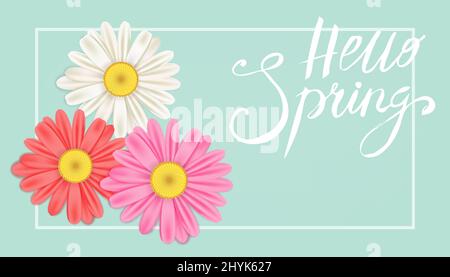 Hallo Spring Banner. Handgezeichnete Schriftzüge. Hintergrund mit Kamille, Gänseblümchen. Frühlingsvorlage, Flyer, Poster, Broschüre. Alles gute zum Frühlingstag Stock Vektor