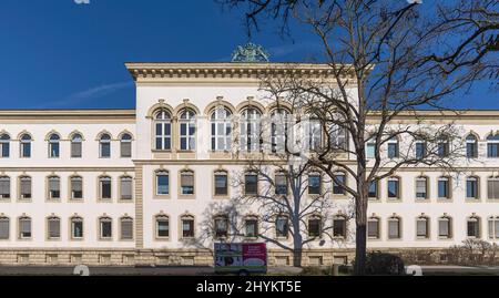 Ehemaliges Offizierswappen der Neuen Infanterie-Kaserne um 1890/1900, mit bayerischem Wappen, heute Universitätsgebäude, Erlangen, Mitte Stockfoto