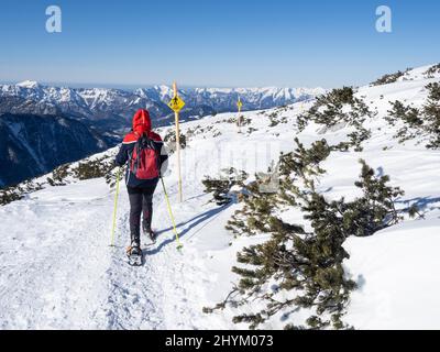 Blauer Himmel über der Winterlandschaft, Schneeschuhwanderer am Wegweiser auf Five Fingers Trail, Krippenstein, Salzkammergut, Oberösterreich, Österreich Stockfoto