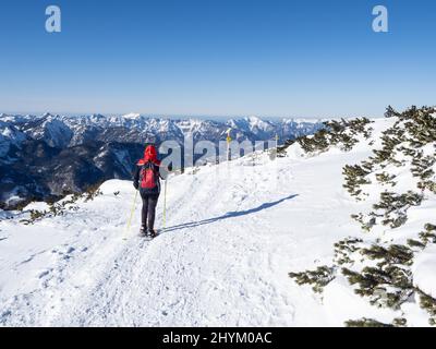 Blauer Himmel über der Winterlandschaft, Schneeschuhwanderer auf dem Five Fingers Trail, Krippenstein, Salzkammergut, Oberösterreich, Österreich Stockfoto