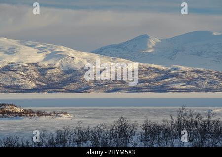 Verschneite Landschaft und Birken, Lake Tornetraesk, Abisko National Park, Lappland, Norrbottens laen, Schweden Stockfoto