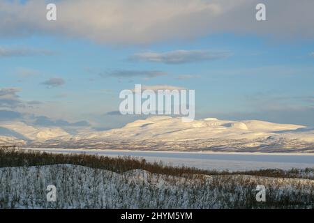 Verschneite Landschaft und Birken, Lake Tornetraesk, Abisko National Park, Lappland, Norrbottens laen, Schweden Stockfoto