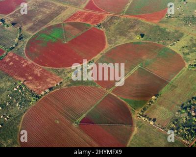 Konzentrische Flächen der Bewässerung Landwirtschaft von staatlichen großen Farmen, Kuba, Artemisa, Alquizar Stockfoto