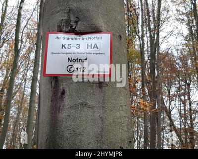 Gemeine Buche (Fagus sylvatica), Rettungszeichen im Wald, gewachsen in die Rinde einer Buche, Deutschland Stockfoto