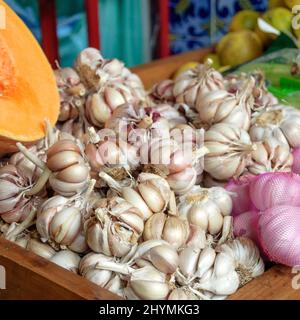 Knoblauch (Allium sativum), Knoblauchzwiebeln zum Verkauf Stockfoto