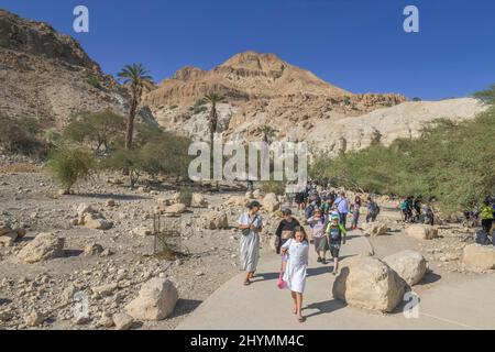 Wanderer im Wadi David, ein Gedi Nature Reserve, Israel Stockfoto