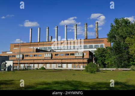 Kraftwerk, Stahlwerk Arcelor Mittal, Eisenhüttenstadt, Brandenburg, Deutschland Stockfoto