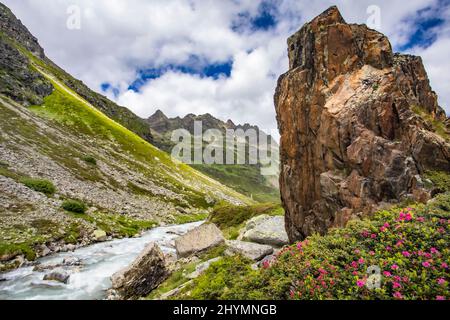 Fluss Ill im Montafon-Tal, Österreich, Vorarlberg Stockfoto