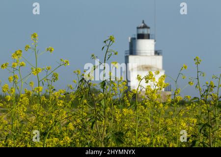 Manitowoc Breakwater Lighthouse Am Lake Michigan Stockfoto