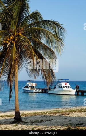 Strand mit Palme, Tauchboote am Steg hinten, Hotel, Bungalowanlage, Maria la Gorda, Pinar del Rio Provinz, Kuba, Karibik Stockfoto