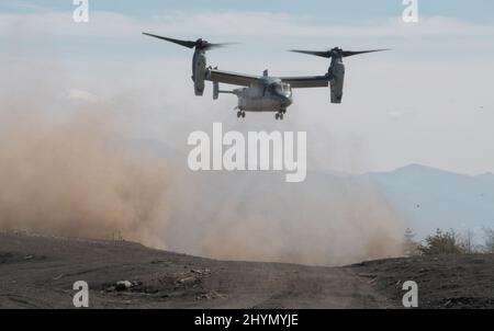 Gotemba, Japan. 15. März 2022. Der Osprey der japanischen Bodenverteidigungskräfte V-22 nimmt zum ersten Mal an einer gemeinsamen Militärübung mit US-Marineinfanterinnen im Lager Fuji in der Präfektur Shizuoka, Japan, am Dienstag, den 15. März 2022 Teil. Foto von Keizo Mori/UPI Credit: UPI/Alamy Live News Stockfoto