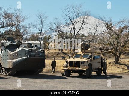 Gotemba, Japan. 15. März 2022. Die AAV7 (Assault Amphibious Vehicle) und die JLTV (Joint Light Tactical Vehicle) der japanischen Selbstverteidigungseinheit am Boden wurden am Dienstag, den 15. März 2022, während einer gemeinsamen militärischen Übung zwischen dem Amphibious Rapid Deployment Regiment, der japanischen Selbstverteidigungseinheit am Boden und der 31. Marine Expeditionary Unit, den U.S. Marineinfanteristen im Camp Fuji in der Präfektur Shizuoka, Japan, gezeigt. Foto von Keizo Mori/UPI Credit: UPI/Alamy Live News Stockfoto