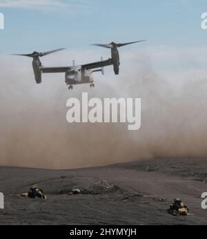 Gotemba, Japan. 15. März 2022. Mitglieder des Amphibious Rapid Deployment Regiment, Japan Ground Self-Defence Force nehmen am Dienstag, den 15. März 2022, an einer gemeinsamen militärischen Übung mit der Marine Expeditionary Unit 31., U.S. Marines, im Camp Fuji in der Präfektur Shizuoka, Japan Teil. Foto von Keizo Mori/UPI Credit: UPI/Alamy Live News Stockfoto