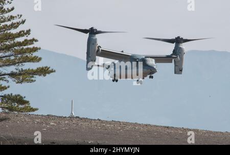 Gotemba, Japan. 15. März 2022. Der Osprey der japanischen Bodenverteidigungskräfte V-22 nimmt zum ersten Mal an einer gemeinsamen Militärübung mit US-Marineinfanterinnen im Lager Fuji in der Präfektur Shizuoka, Japan, am Dienstag, den 15. März 2022 Teil. Foto von Keizo Mori/UPI Credit: UPI/Alamy Live News Stockfoto