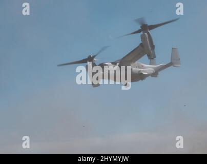 Gotemba, Japan. 15. März 2022. Der Osprey der japanischen Bodenverteidigungskräfte V-22 nimmt zum ersten Mal an einer gemeinsamen Militärübung mit US-Marineinfanterinnen im Lager Fuji in der Präfektur Shizuoka, Japan, am Dienstag, den 15. März 2022 Teil. Foto von Keizo Mori/UPI Credit: UPI/Alamy Live News Stockfoto