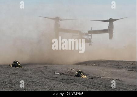 Gotemba, Japan. 15. März 2022. Mitglieder des Amphibious Rapid Deployment Regiment, Japan Ground Self-Defence Force nehmen am Dienstag, den 15. März 2022, an einer gemeinsamen militärischen Übung mit der Marine Expeditionary Unit 31., U.S. Marines, im Camp Fuji in der Präfektur Shizuoka, Japan Teil. Foto von Keizo Mori/UPI Credit: UPI/Alamy Live News Stockfoto