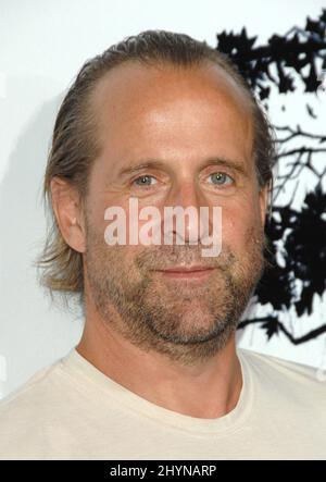 Peter Stormare nimmt an der Weltpremiere von „The Premonition“ in Hollywood Teil. Bild: UK Press Stockfoto